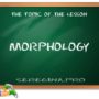 Морфология современного английского языка.